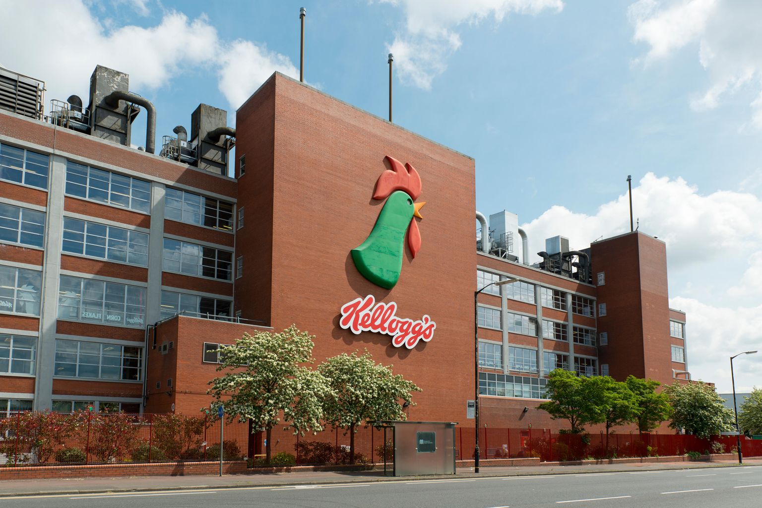 Kelloggs ditches degree requirement for most jobs News Greatest
